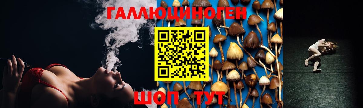Псилоцибиновые грибы Magic Shrooms Бугуруслан